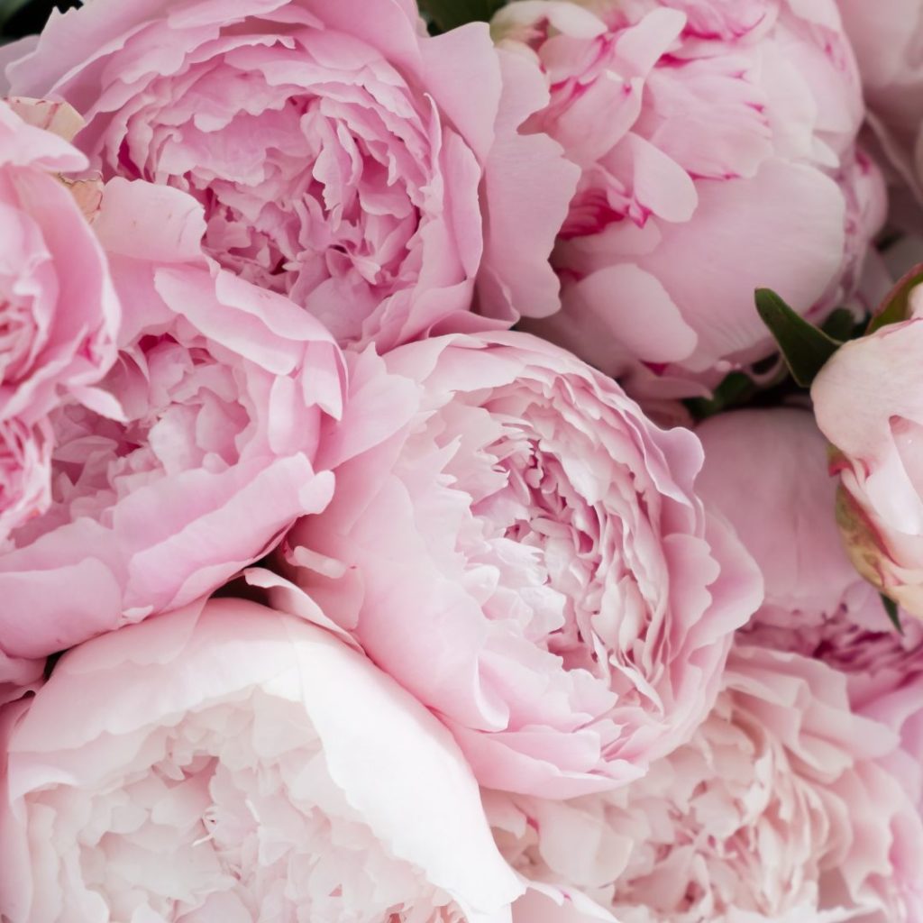 wedding flowers